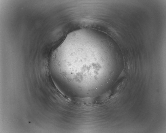 X0000061740964200512161645