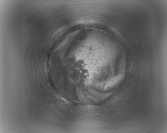 X0000061740966200512161645