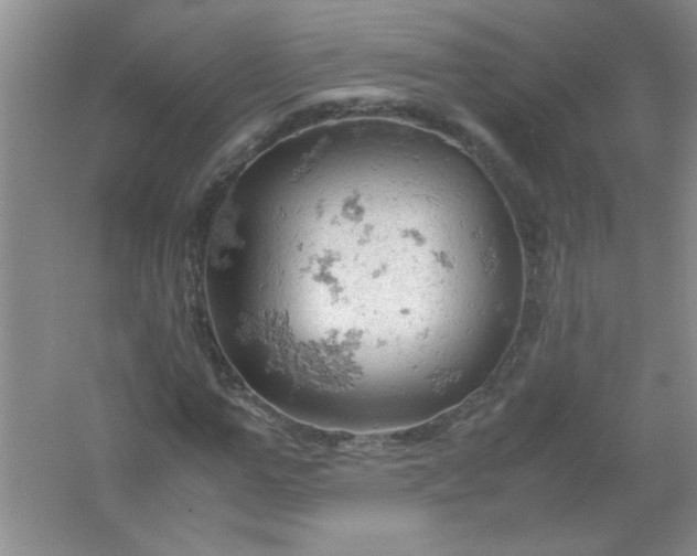 X0000061740967200512161645