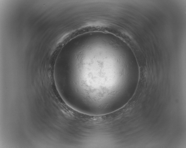 X0000061740968200512161645