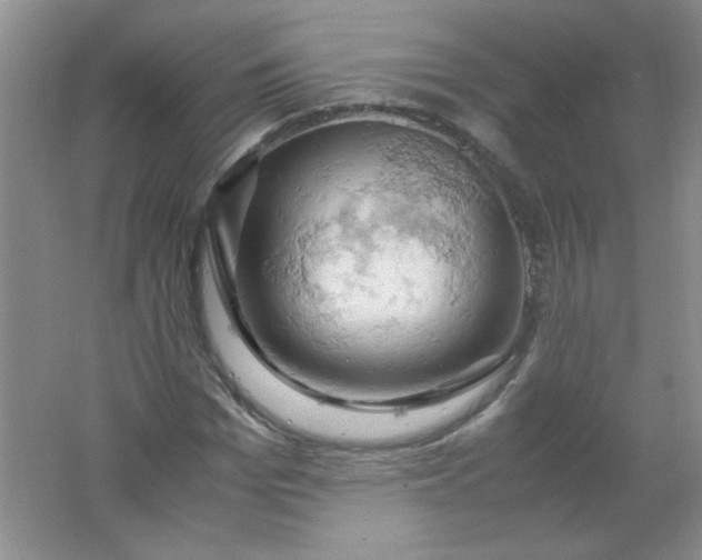 X0000061740969200512161645