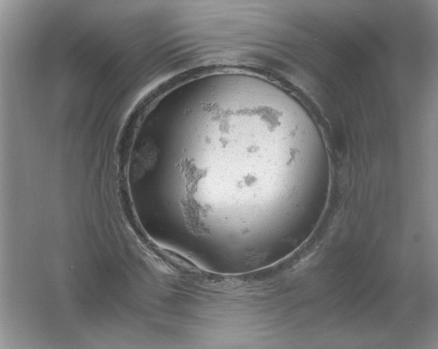 X0000061740971200512161645