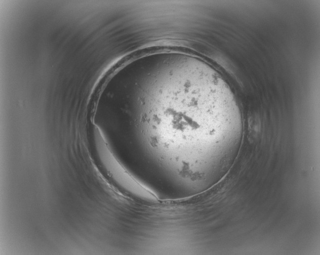 X0000061740972200512161645