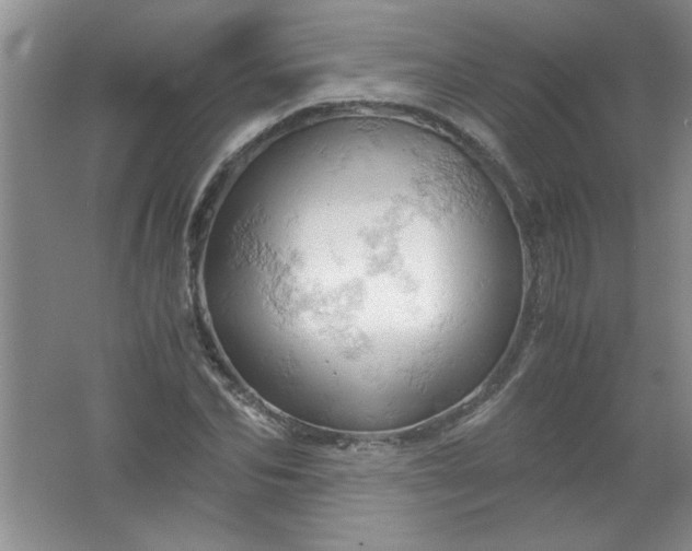 X0000061740974200512161645