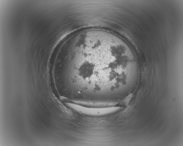 X0000061740975200512161645