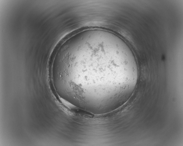 X0000061740976200512161645