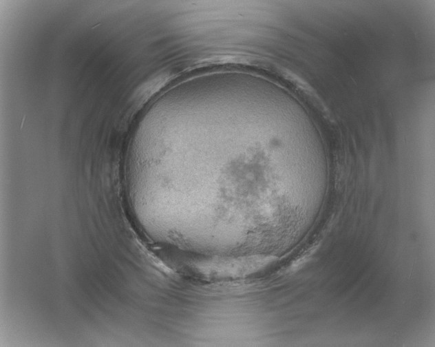 X0000061740977200512161645