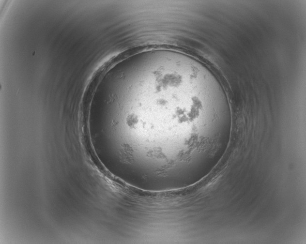 X0000061740979200512161645