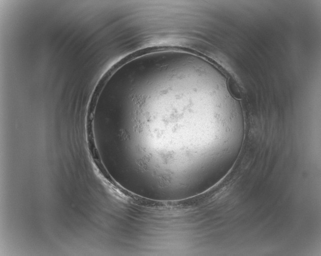 X0000061740980200512161645