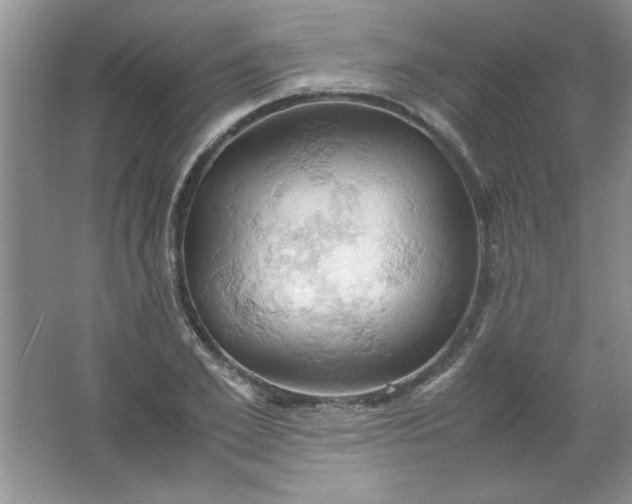 X0000061740981200512161645