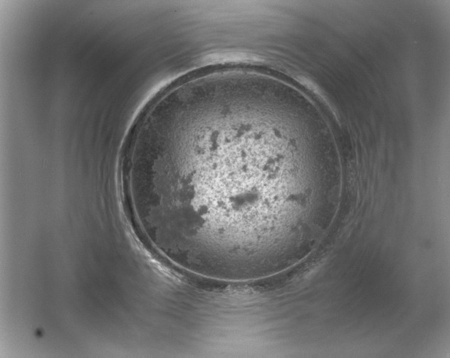 X0000061740983200512161645