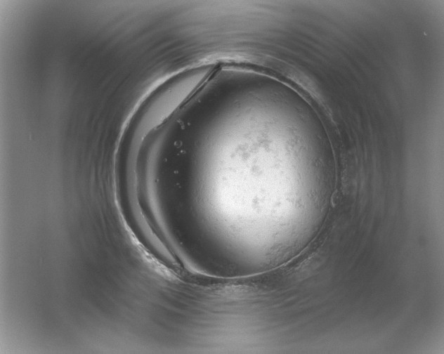 X0000061740984200512161645