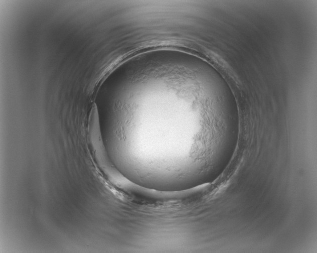 X0000061740985200512161645