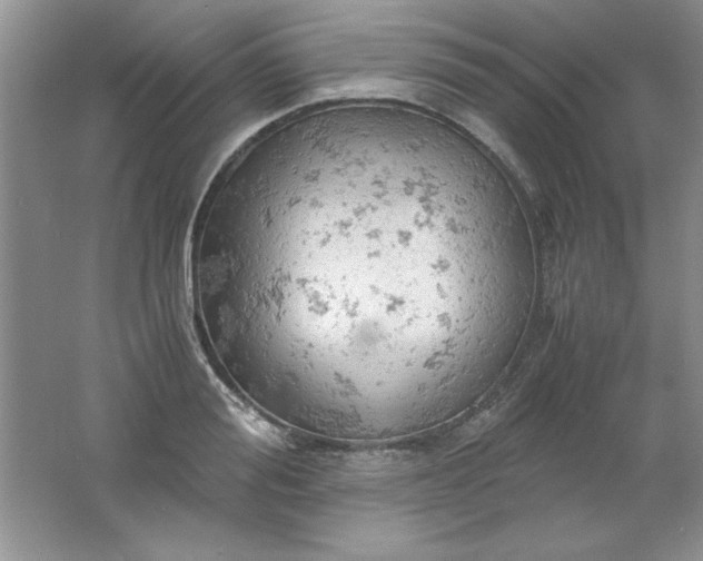 X0000061740988200512161645