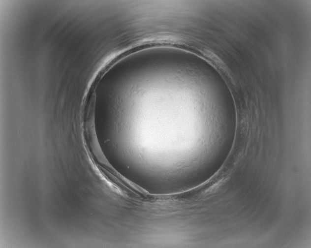 X0000061740989200512161645