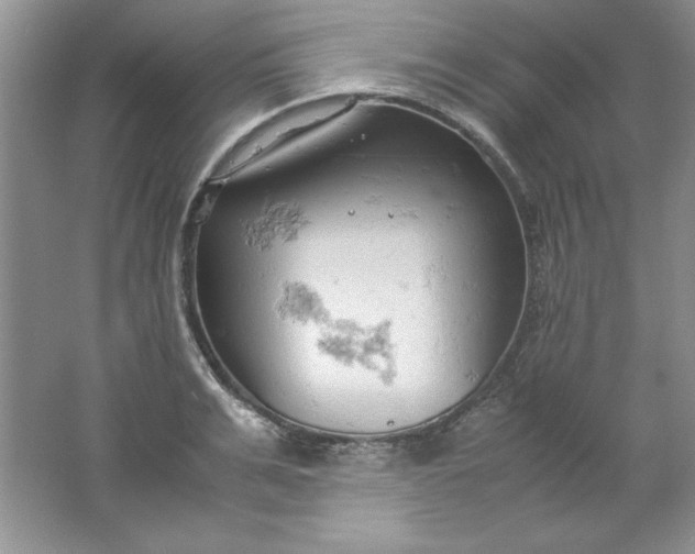 X0000061740991200512161645