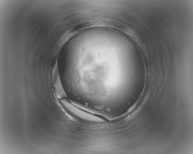 X0000061740993200512161645