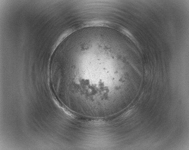 X0000061740994200512161645