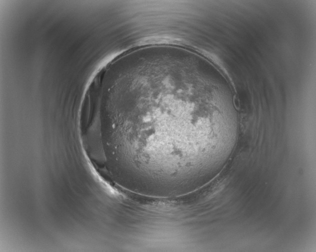 X0000061740995200512161645