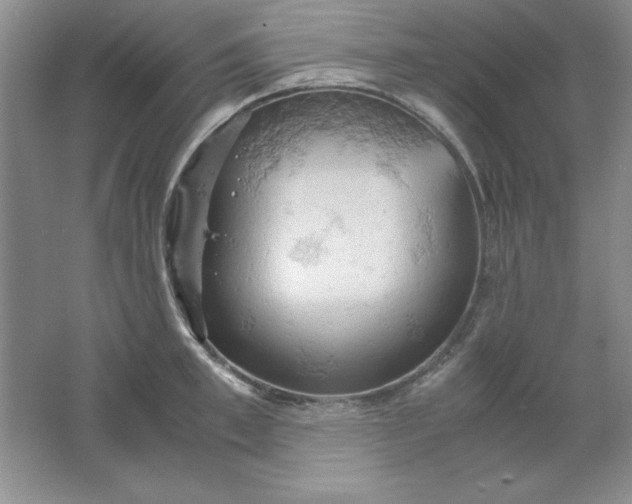 X0000061740997200512161645