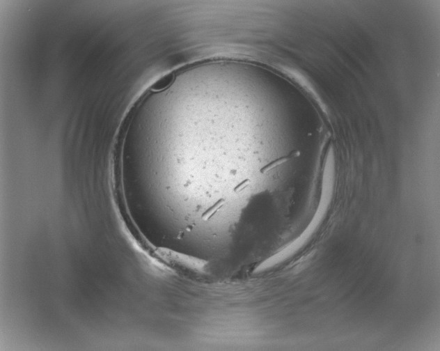 X0000061740999200512161645