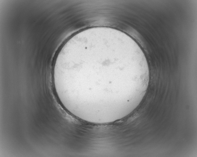 X0000061741000200512161645