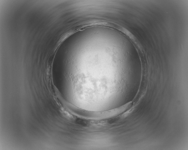 X0000061741001200512161645