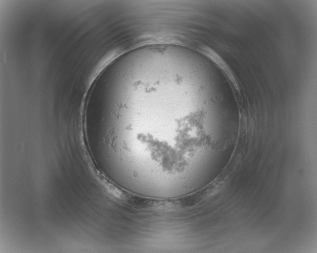 X0000061741002200512161645