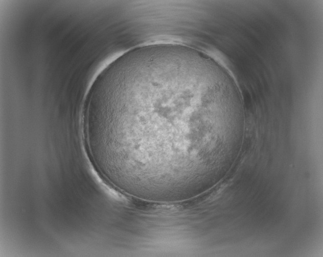 X0000061741003200512161645