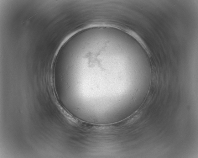 X0000061741004200512161645