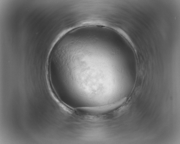 X0000061741005200512161645