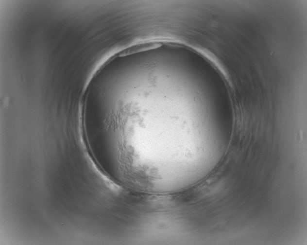 X0000061741006200512161645