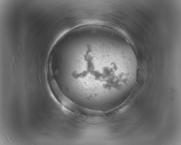 X0000061741007200512161645