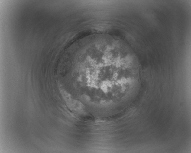 X0000061741009200512161644