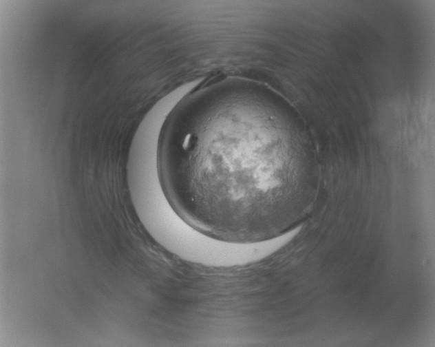 X0000061741010200512161644