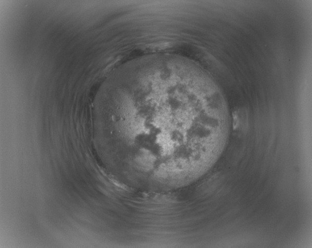 X0000061741011200512161644