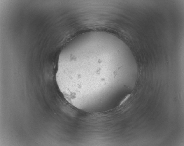 X0000061741012200512161644