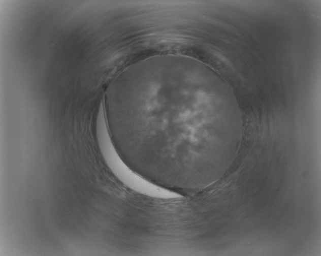 X0000061741013200512161644