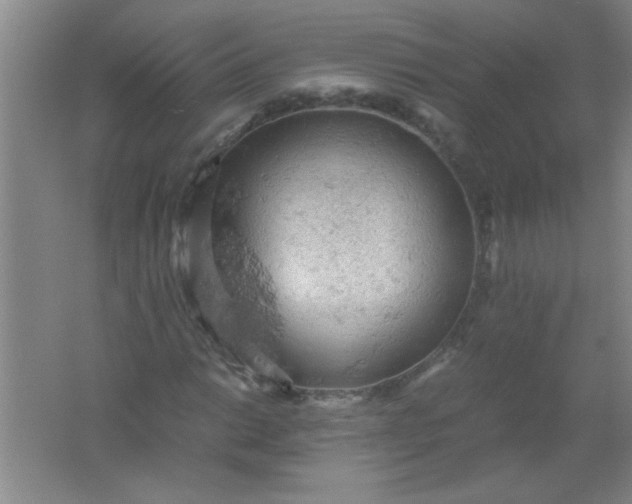 X0000061741014200512161644