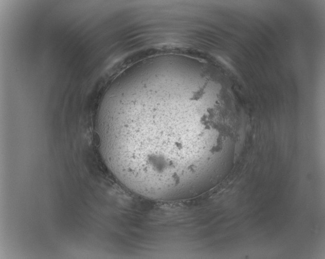 X0000061741015200512161644