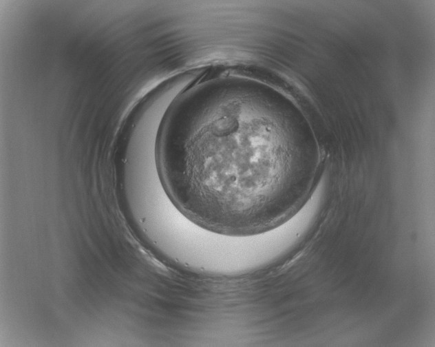 X0000061741018200512161644