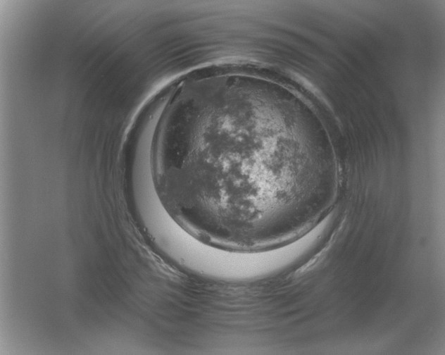 X0000061741021200512161644