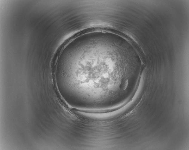 X0000061741022200512161644