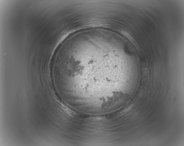 X0000061741023200512161644