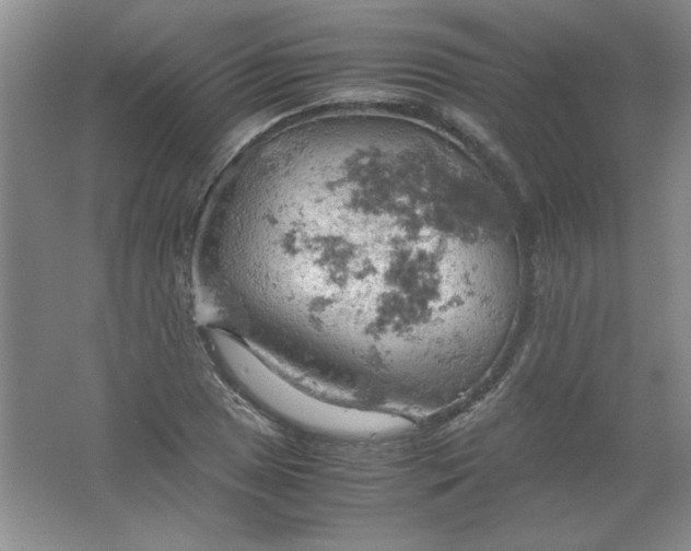 X0000061741025200512161644