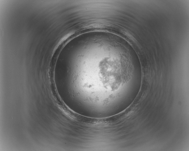 X0000061741026200512161644