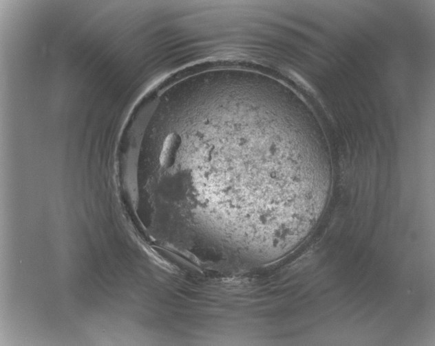 X0000061741029200512161644