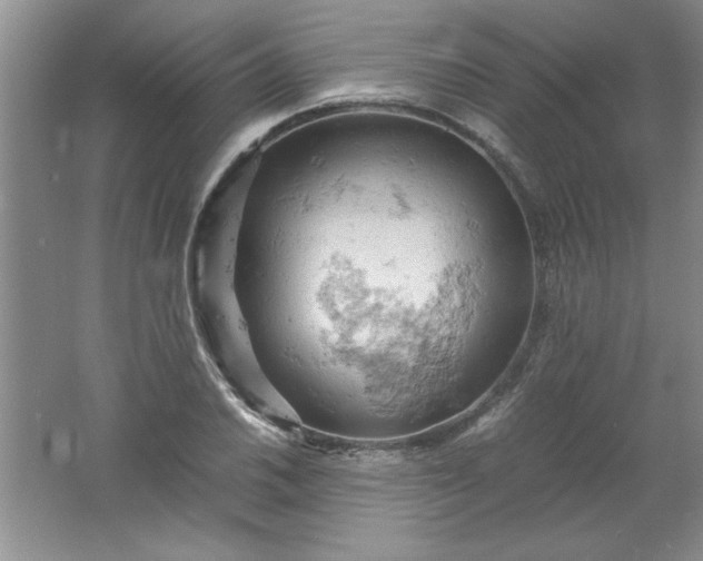 X0000061741030200512161644