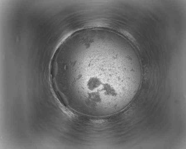 X0000061741031200512161644