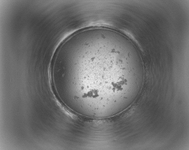 X0000061741032200512161644